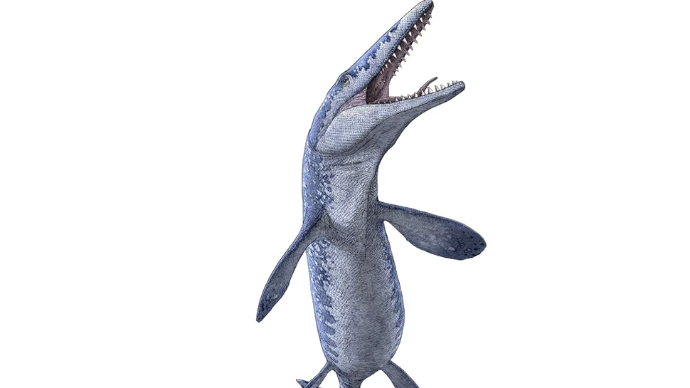 Fosila unui Tylosaurus, descoperită într-o mină din Canada
