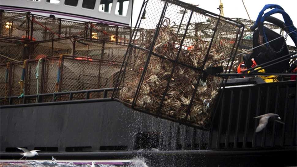 O pradă mortală: La pescuit de homari