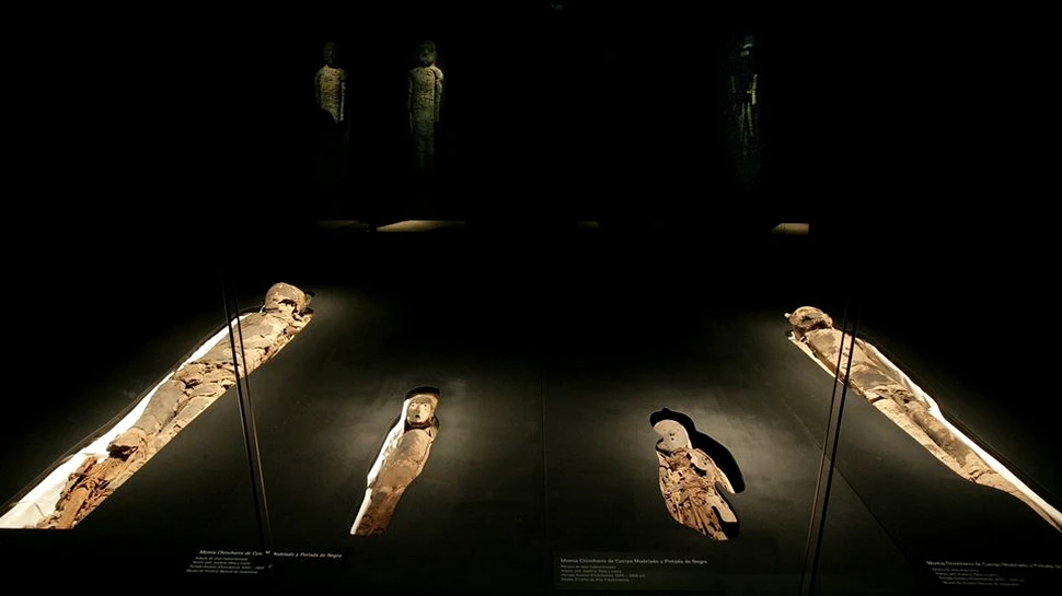Mumii care au rezistat 7.000 de ani riscă să se transforme într-un ”noroi” negru la un muzeu din Chile