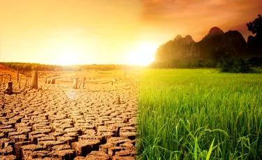 Avertisment: Criza climatică ar trebui declarată urgență globală de sănătate publică