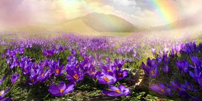 Un eveniment major s-a întâmplat pe Pământ cu 2 milioane de ani mai devreme decât s-a crezut până acum