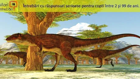 Câți pui făceau dinozaurii?