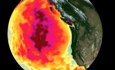 Un eveniment bizar din Oceanul Pacific poate avea efecte devastatoare asupra climei: ”Este cel mai neobişnuit eveniment meteorologic din ultimele decenii”
