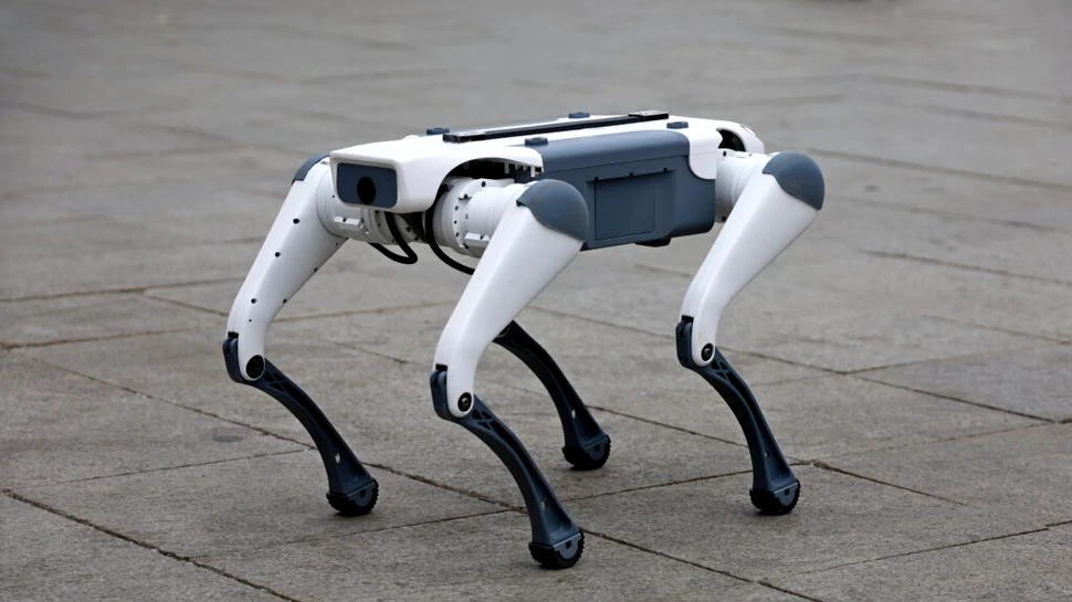 Într-un oraș din România, roboții merg pe străzi și îndeamnă trecătorii să păstreze curățenia