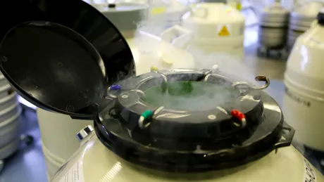 O pereche de gemeni s-a născut din embrioni congelați timp de 30 de ani