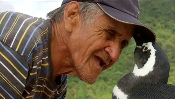 Joao Pereira de Souza a salvat un pinguin, iar aceste se reîntoarce anual să-l viziteze.  