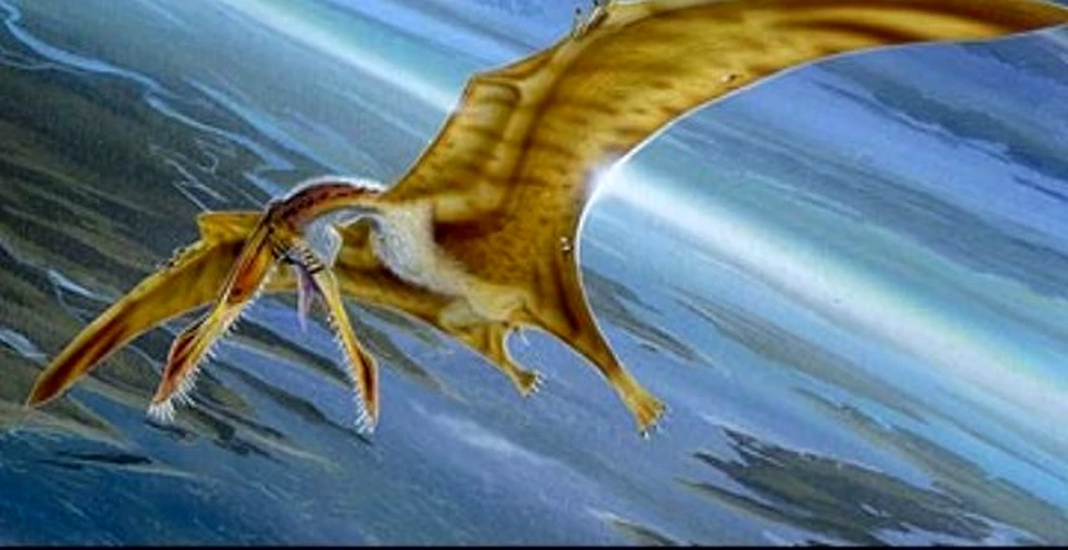 Pterodactilii erau prea grei pentru a zbura