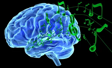 Oamenii de știință au identificat neuronii care reacționează la cântece