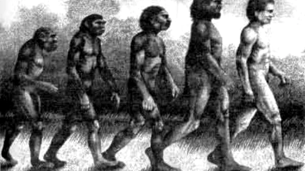 Durerea de dinti, pretul platit de om pentru inteligenta