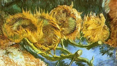 Van Gogh și ce reprezintă, de fapt, tablourile lui cu floarea-soarelui