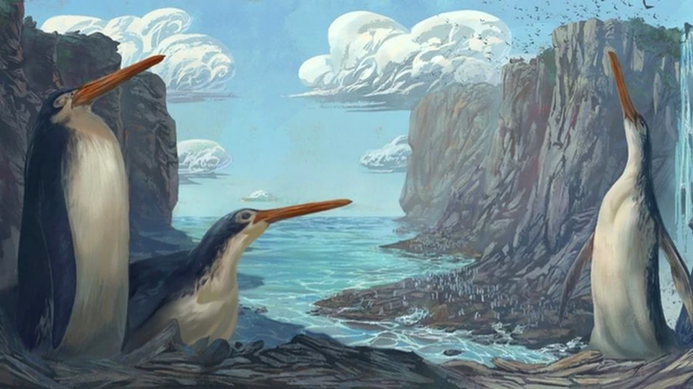 Un pinguin gigant fosilizat, o nouă specie descoperită de copiii din Noua Zeelandă