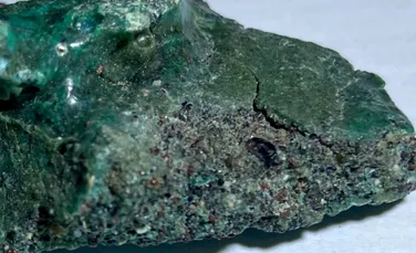 Descoperire tristă pe o insulă din Brazilia: Țestoasele marine își fac cuiburi în „roci de plastic”