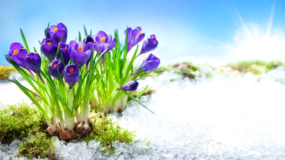 Vremea în luna martie. Cât mai ține frigul și când își intră primăvara în drepturi?