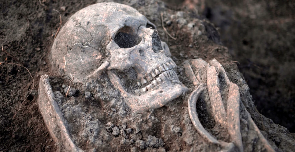 Sute de schelete medievale, descoperite sub un magazin din Țara Galilor