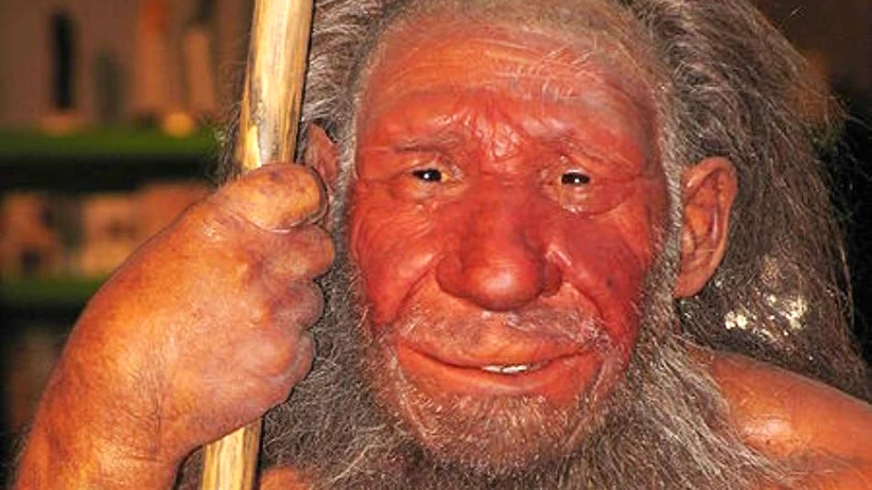 Neanderthalienii îşi construiau locuinţe