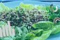 Ce ar trebui să mâncăm la fiecare vârstă și cum se schimbă nevoile nutriționale de-a lungul vieții