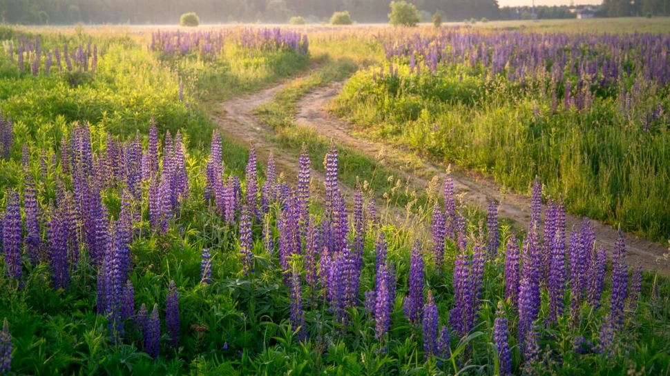 Vremea se încălzește. Prognoza anunțată de meteorologi pentru luna iunie