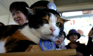 Funeralii în Japonia pentru pisica Tama, de nouă ani şef de gară