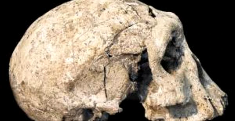 Craniul care rescrie istoria omenirii