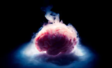 Creierul criogenat al unui cercetător, „uimitor de bine conservat” după 10 ani