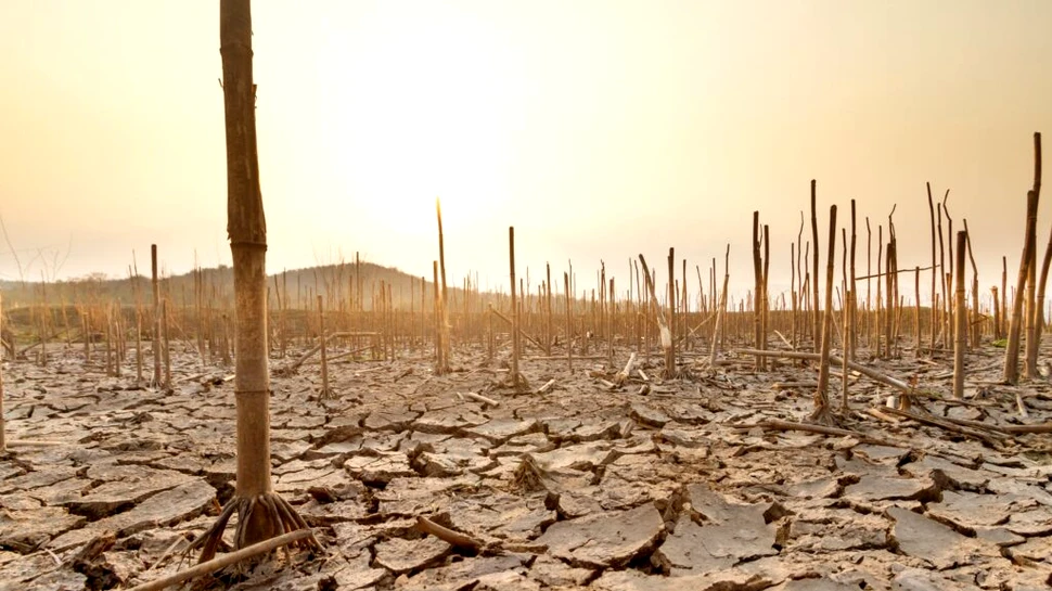 Zonele aride reprezintă în prezent 40% din suprafața Pământului