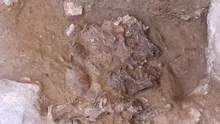 Descoperirea unui Neanderthal în Peştera Shanidar