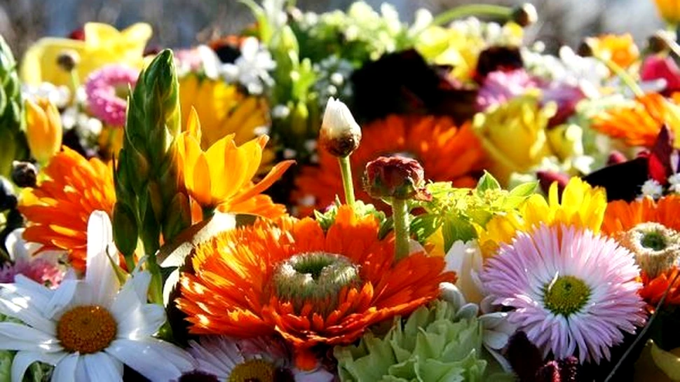 Atelier practic de aranjamente florale, iniţiat de Fundaţia Calea Victoriei