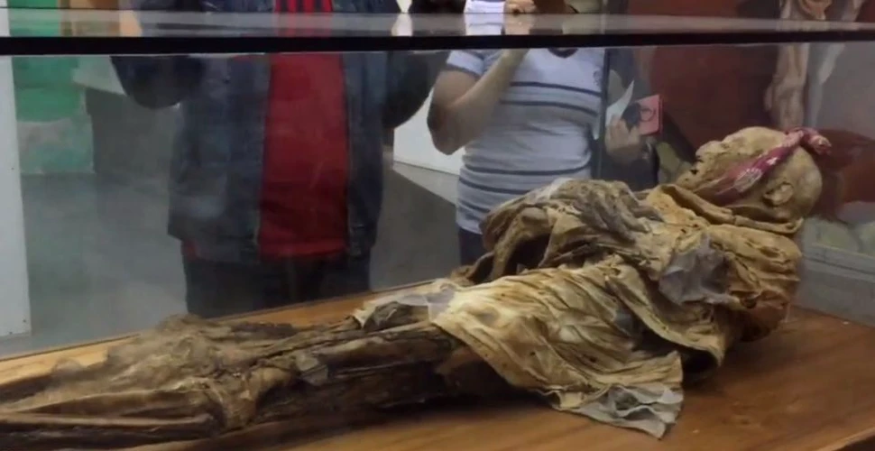 Savantul care a studiat rămăşiţele lui Hitler analizează acum o mumie din secolul al XVI-lea pentru a explica răspândirea unei boli grave
