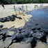 Scurgere de petrol în sudul Singapore: Mai multe plaje au fost închise