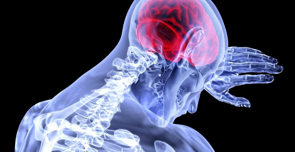 „Androginia” creierului este surprinzător de comună și ar putea îmbunătăți sănătatea mintală