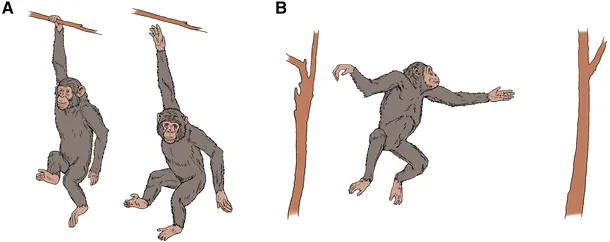 adolescenții au comportamente riscante