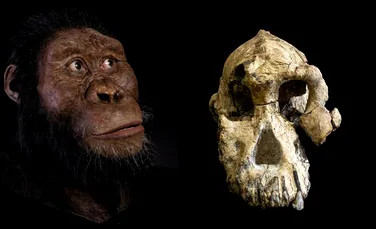 Descoperirea unui craniu vechi de 3,8 milioane de ani poate schimba complet istoria evoluţiei omului