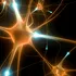 Oamenii de știință de la MIT au transformat celulele pielii în neuroni
