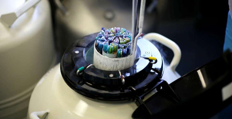 Progres revoluționar: Oamenii de știință au creat embrioni umani sintetici