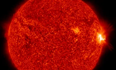 Trei fenomene de amploare au fost observate recent pe suprafaţa Soarelui. Ce s-ar putea întâmpla cu Terra în perioada următoare- VIDEO