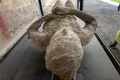 Singura relatare „de la fața locului” dezvăluie data exactă în care orașul Pompeii a fost distrus