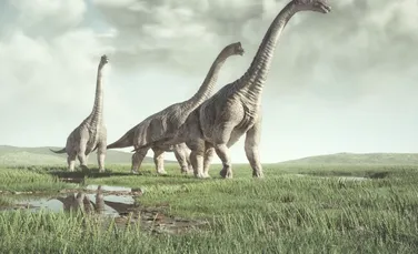 Dinozaurii au fost afectați de o boală devastatoare, indică noi fosile