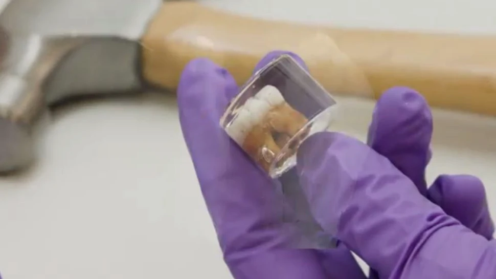 Neanderthalienii îşi alăptau copiii până la vârsta de 2 ani şi treceau prin ierni mult mai friguroase