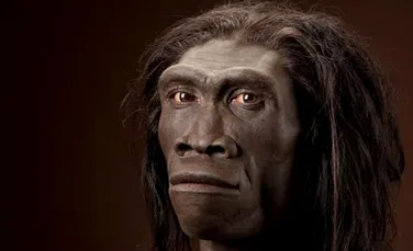 Evoluţia umană a fost mult mai complicată decât se credea. Strămoşul până acum necunoscut al omului