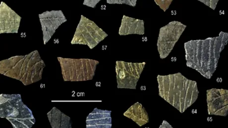 Cele mai vechi modele geometrice create de om, descoperite pe coji de ouă vechi de 60.000 de ani
