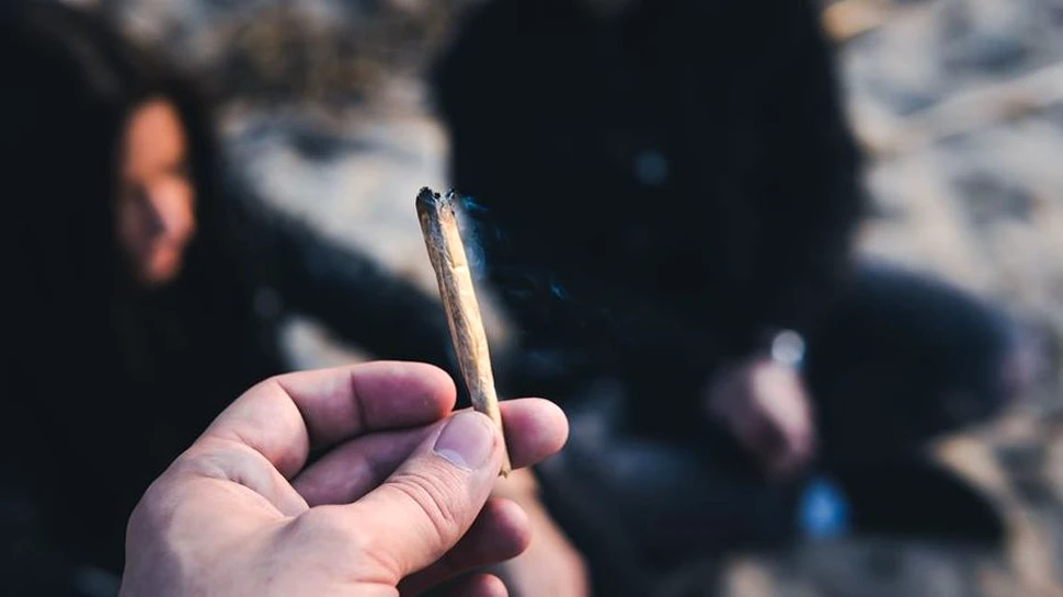 Un site de recenzii recrutează persoană care fumează zilnic marijuana zilnic. Ce salariu oferă