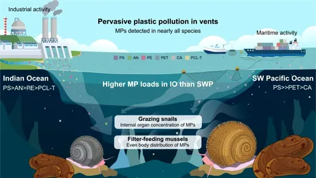 Microplasticele ajung chiar și la 2.000 de metri sub suprafața oceanului, arată un nou studiu