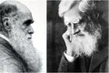 Alfred Russel Wallace, rivalul și în același timp prieten al lui Charles Darwin