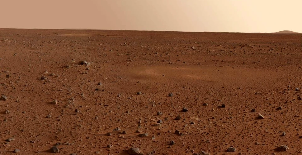 Două studii arată că unele organisme de pe Terra pot supravieţui pe Marte