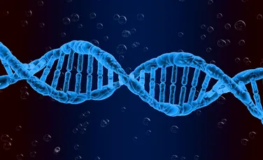 Modul în care ADN-ul este „împachetat” în celulele albe poate cauza diabetul