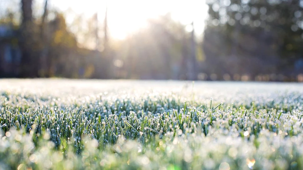 Vremea în România în următoarele zile. Val de frig și temperaturi până la minus 18 grade