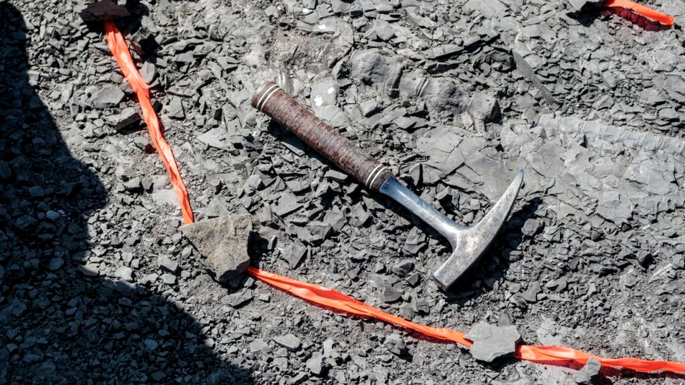 Cercetătorii au găsit fosila unui dinozaur cu tot cu piele