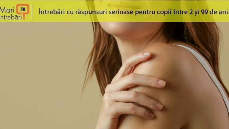 Se regenerează cu adevărat corpul nostru la fiecare șapte ani?