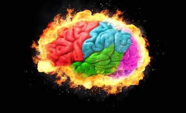 Mitul vârstei de 25 de ani: ce spune cu adevărat știința despre creierul adolescenților