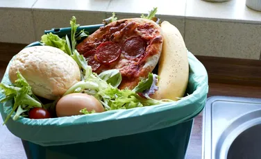 Cât pot fi ţinute alimentele în frigider şi cum se poate evita risipa de mâncare din perioada sărbătorilor de iarnă
